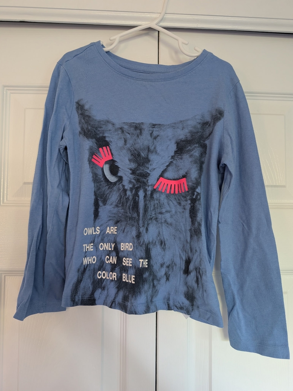 GAP Blue Long-Sleeve Owl Graphic Tee